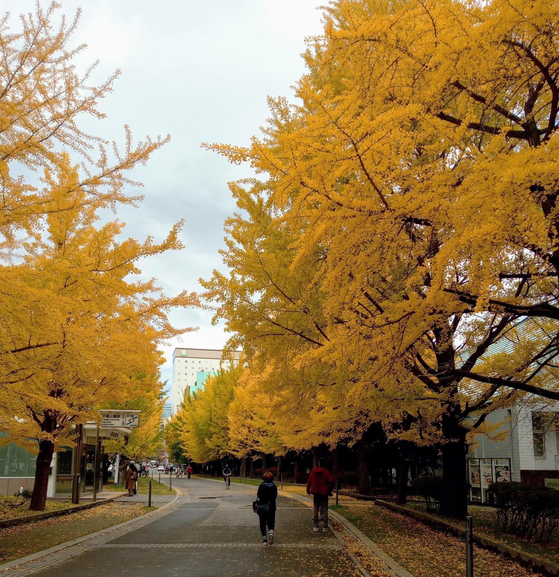 Aup178 Apartment Sapporo Luaran gambar